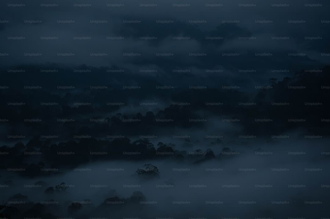 车企与智驾提供商加深合作 宝马联手Momenta发布专属智驾系统